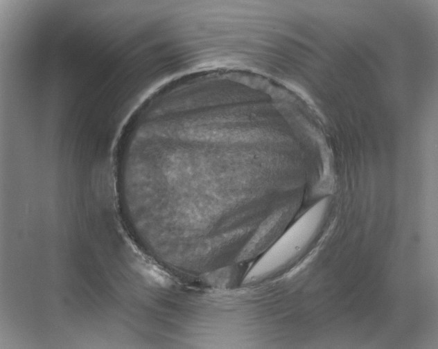 X0000068741118200605121537