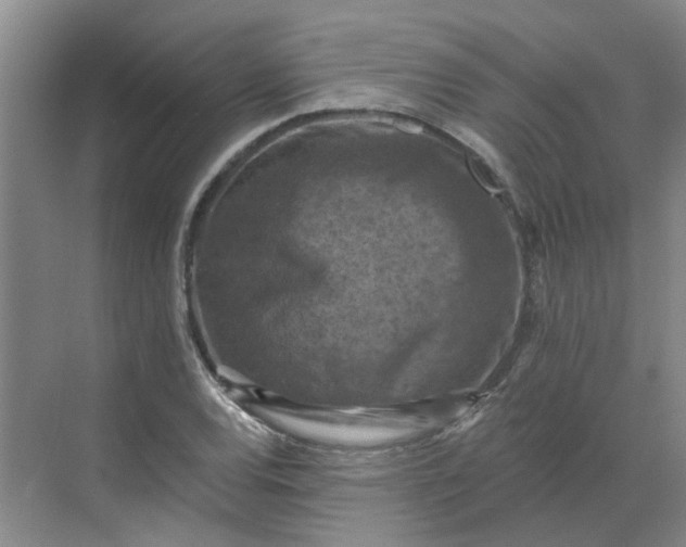 X0000068741120200605121537