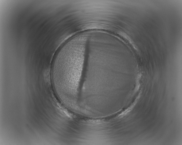 X0000068741121200605121537