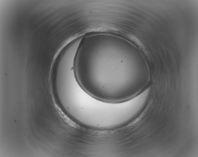 X0000068741122200605121537