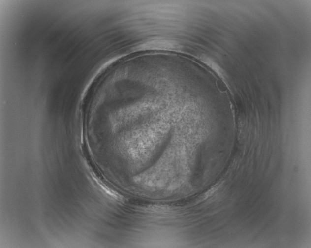 X0000068741123200605121537