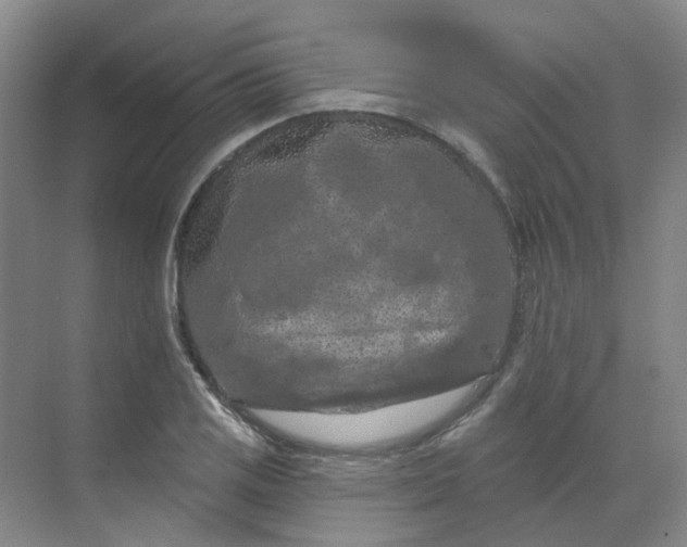 X0000068741125200605121537