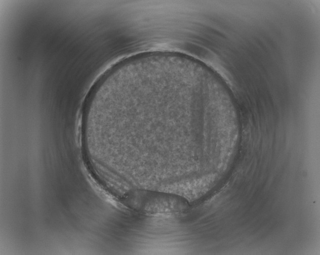 X0000068741126200605121537