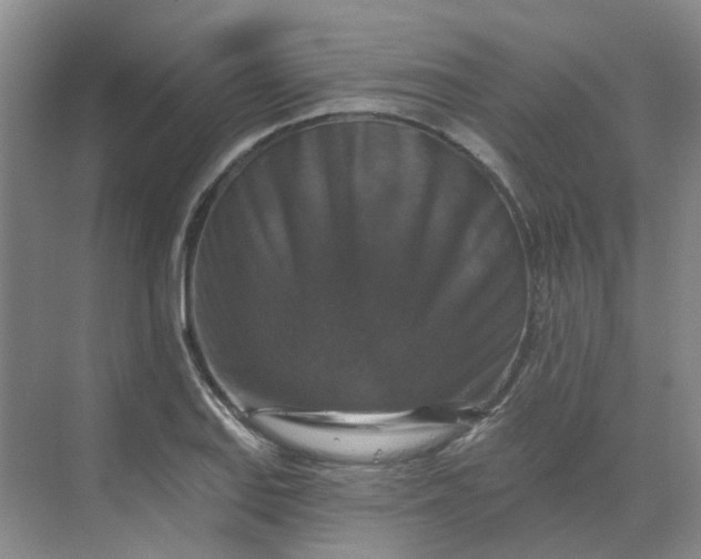 X0000068741127200605121537