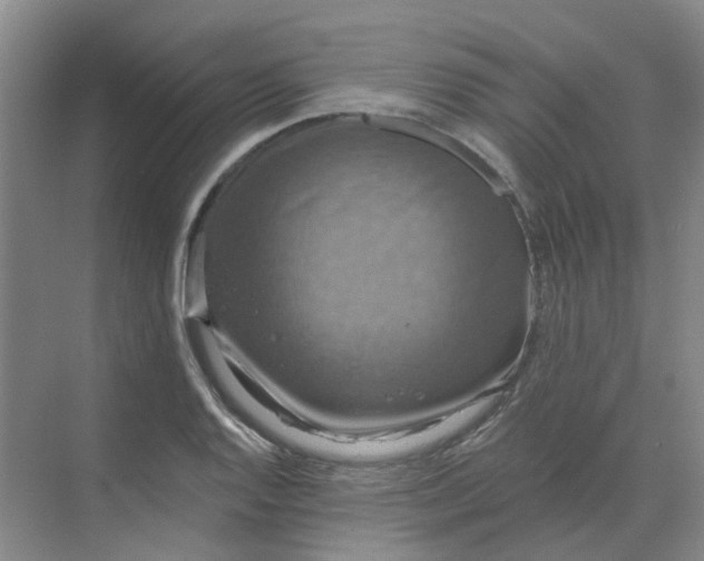 X0000068741128200605121537