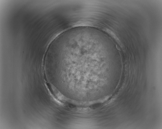 X0000068741129200605121537