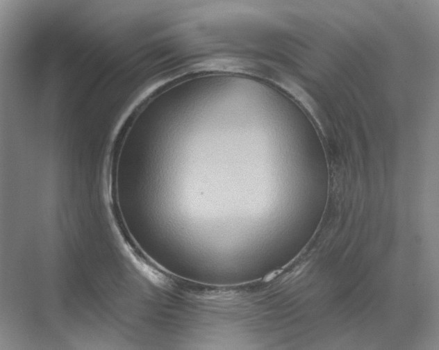 X0000068741131200605121537