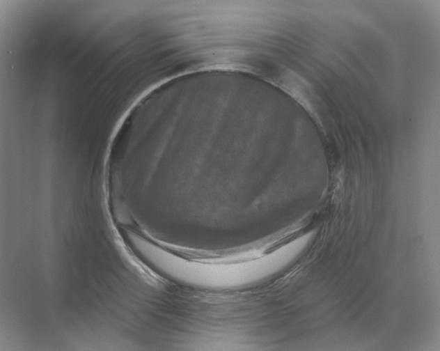 X0000068741132200605121537