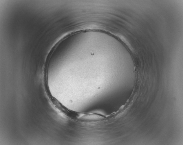 X0000068741134200605121537