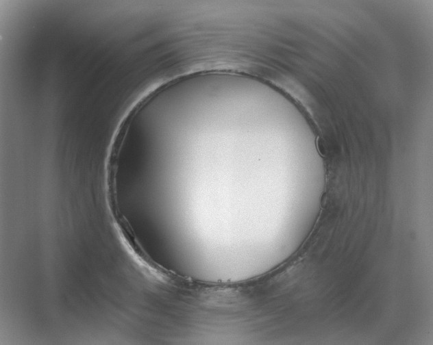 X0000068741135200605121537