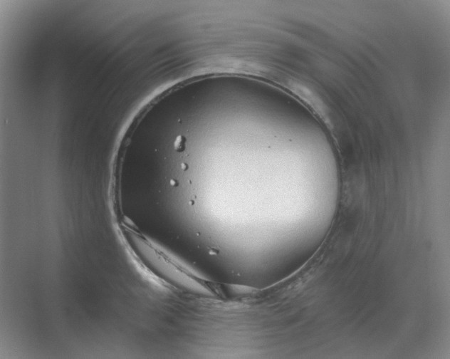 X0000068741136200605121537