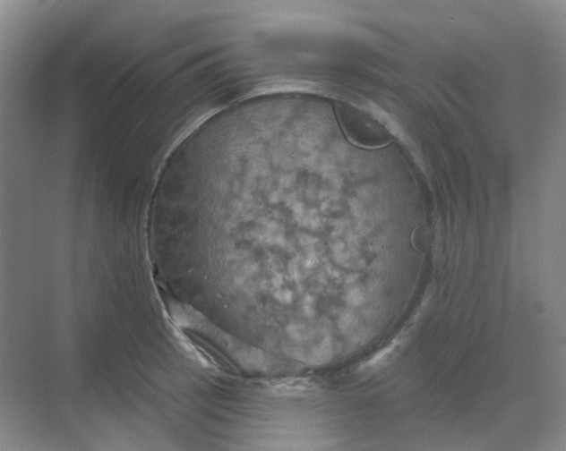 X0000068741137200605121537