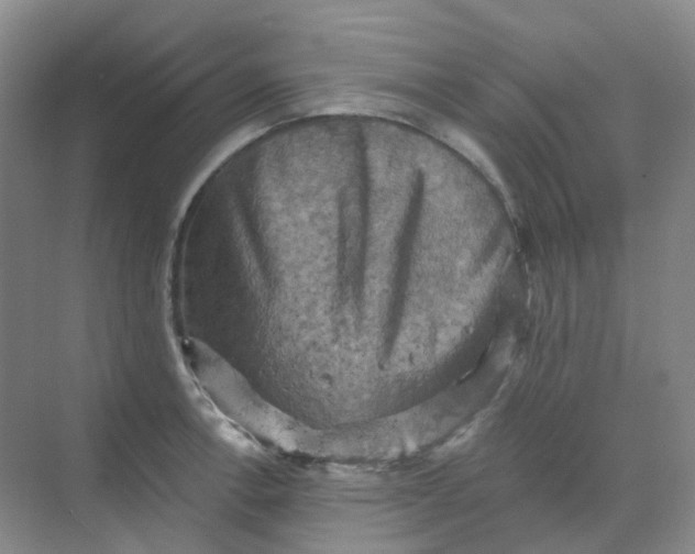 X0000068741138200605121537