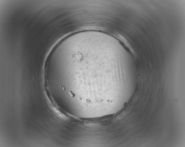 X0000068741140200605121537