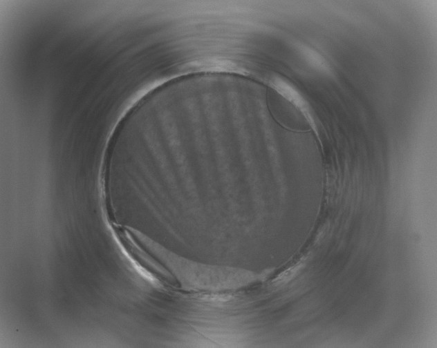 X0000068741141200605121537