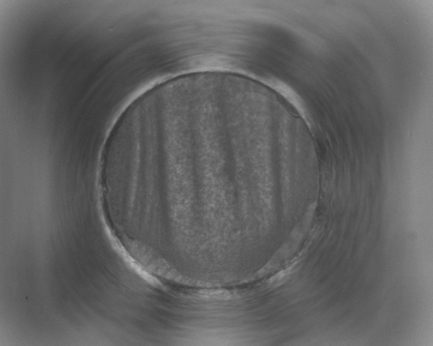 X0000068741142200605121537