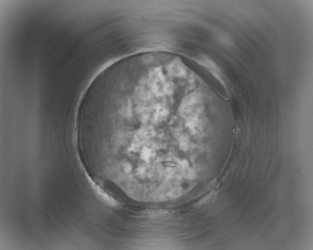 X0000068741143200605121537