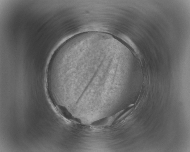 X0000068741144200605121537