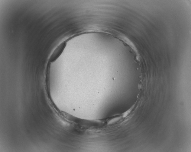 X0000068741146200605121537