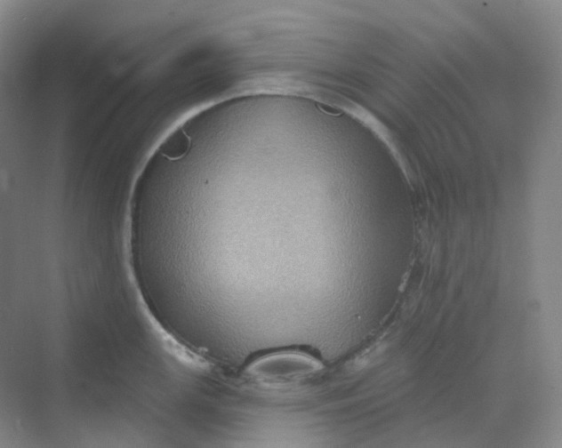 X0000068741147200605121537