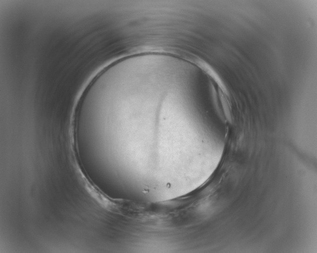 X0000068741148200605121537