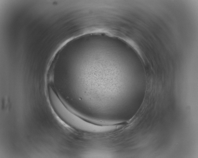 X0000068741151200605121537