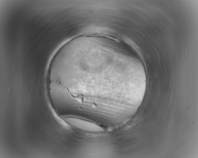 X0000068741152200605121537