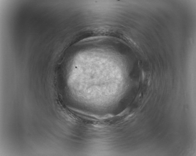 X0000068741153200605121536