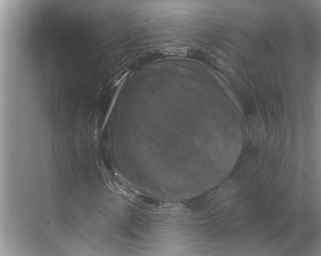 X0000068741154200605121536