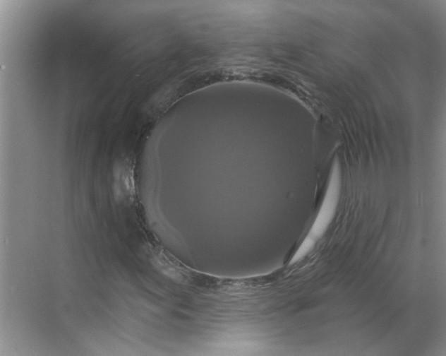 X0000068741155200605121536