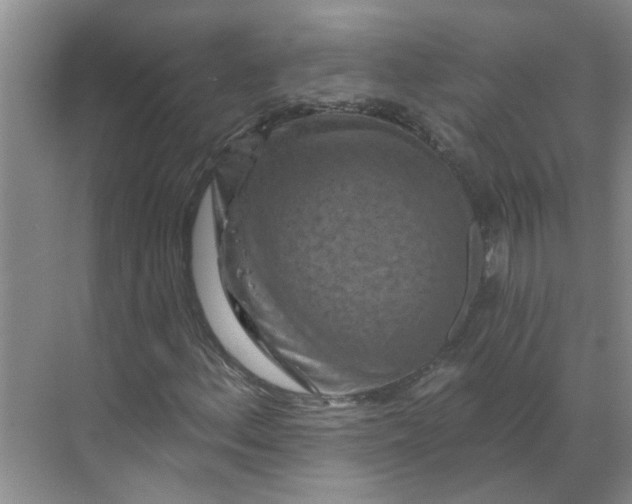 X0000068741156200605121536