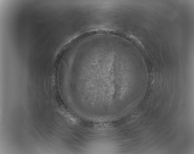 X0000068741159200605121536