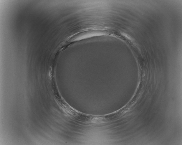 X0000068741161200605121536