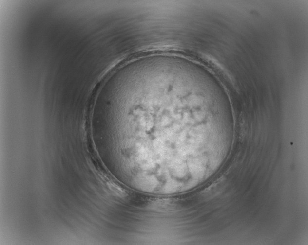 X0000068741162200605121536