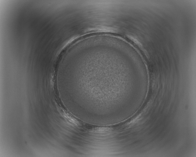 X0000068741163200605121536