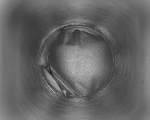 X0000068741164200605121536