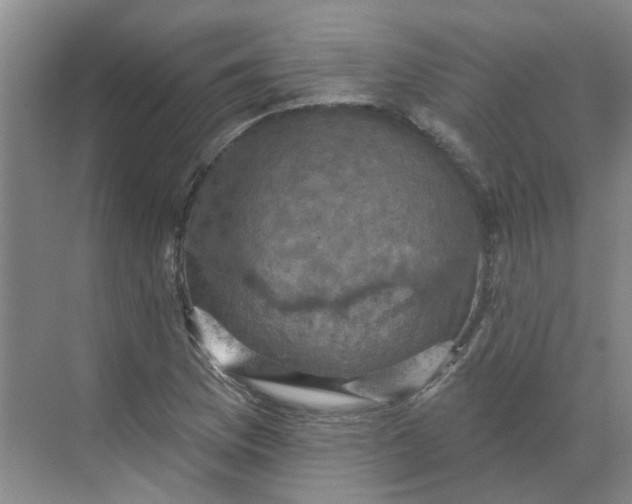 X0000068741169200605121536