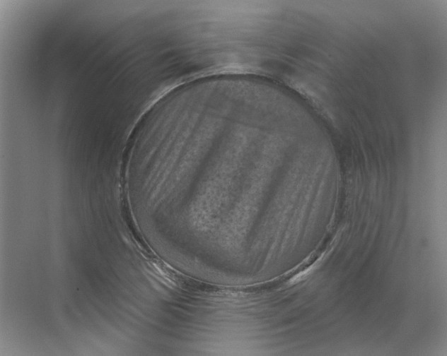 X0000068741170200605121536