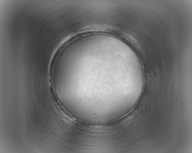 X0000068741172200605121536