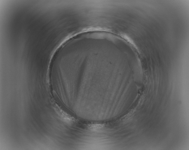 X0000068741173200605121536