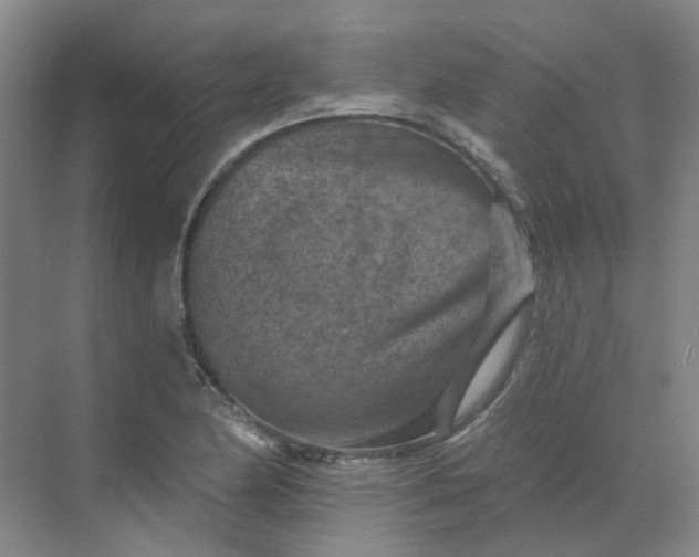 X0000068741174200605121536