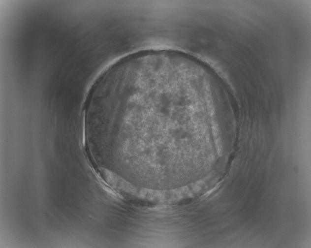 X0000068741175200605121536