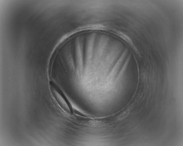 X0000068741176200605121536