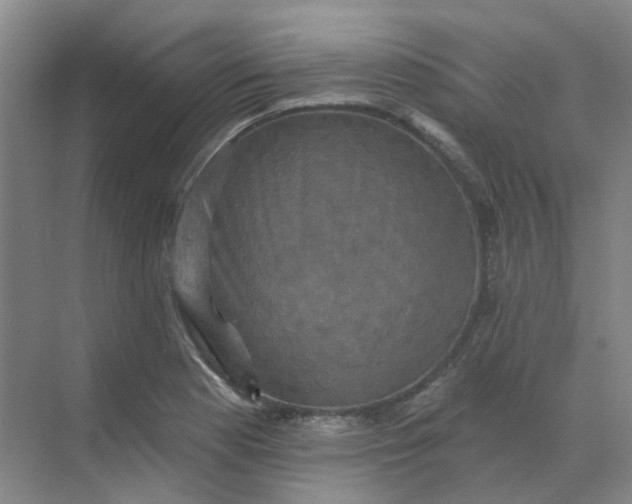 X0000068741177200605121536