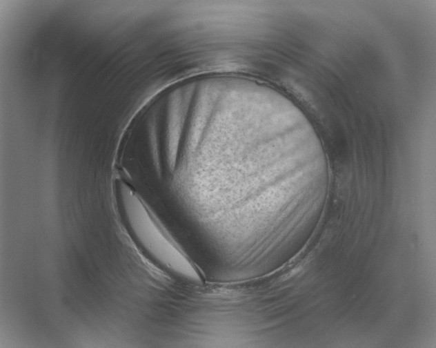 X0000068741178200605121536