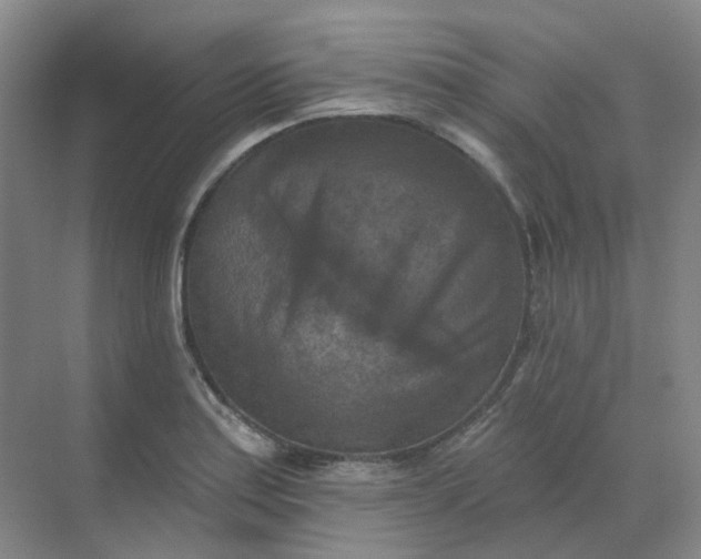 X0000068741179200605121536