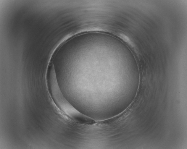 X0000068741181200605121536