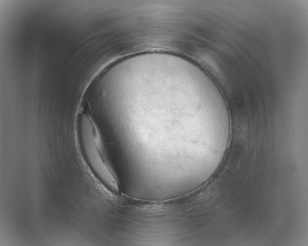 X0000068741182200605121536