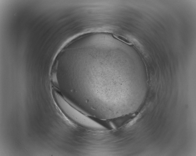 X0000068741184200605121536