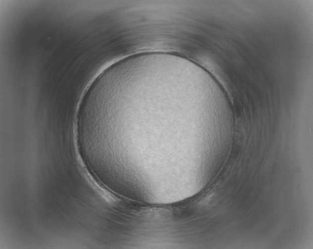 X0000068741187200605121536